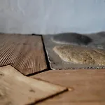 Prázdninový dům Haus Am Berg *