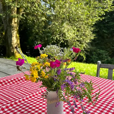 Haus Am Berg * キッツビュール