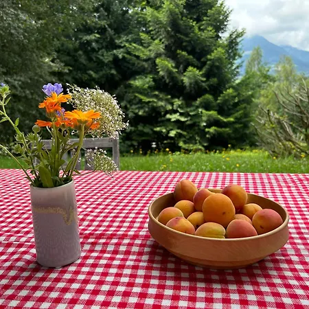 Haus Am Berg Tatil Evi